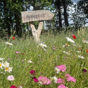 Parkeerterrein Natuurbegraafplaats Weerterland